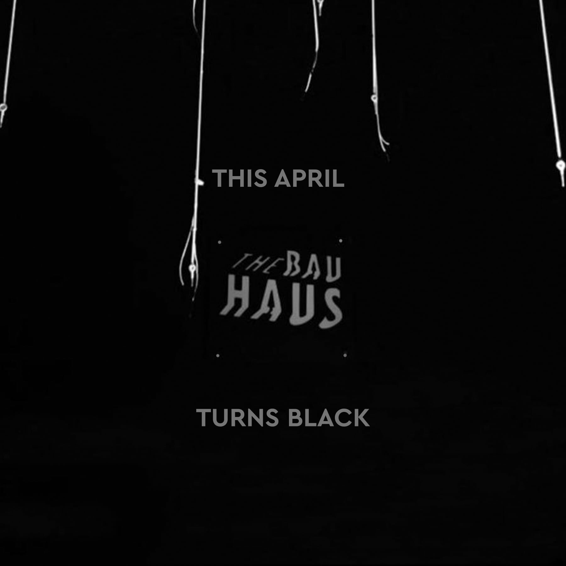 Bau Haus Bau Haus